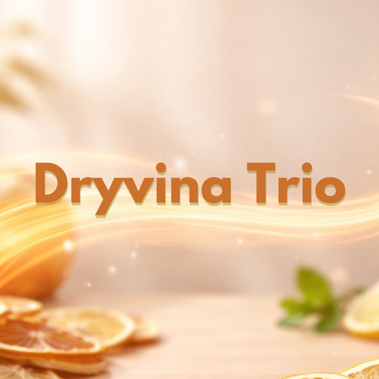 Dryvina Trio